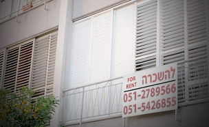 צפו: חברות התיווך מציעות את "עבודת החלומות"