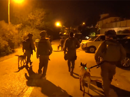 חיילי צה"ל בפעילות בכובר, לפני כחודש (צילום: דובר צהל) חיילי צה"ל בפעילות בכובר, לפני כחודש (צילום: דובר צהל)