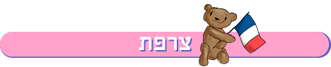 חופשת לידה בצרפת