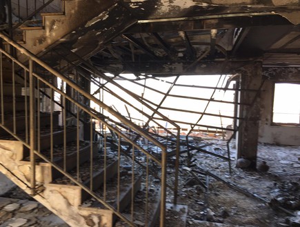 בית בזכרון יעקב, עיצוב אלה מורגן, לפני השיפוץ -2 (צילום: איל גולן) בית בזכרון יעקב, עיצוב אלה מורגן, לפני השיפוץ -2 (צילום: איל גולן)
