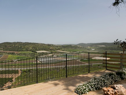 בית בזכרון יעקב, עיצוב אלה מורגן (צילום: שירן כרמל) בית בזכרון יעקב, עיצוב אלה מורגן (צילום: שירן כרמל)