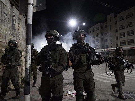כוחות צה"ל בפעילות כוחות צה"ל בפעילות