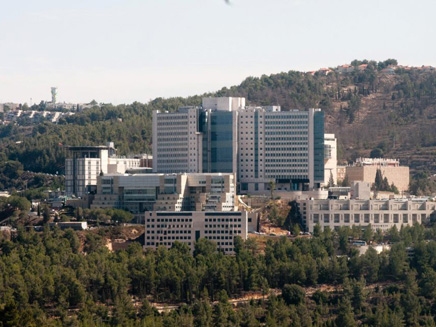 בית החולים הדסה עין כרם בית החולים הדסה עין כרם
