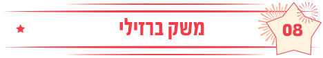 משק ברזילי