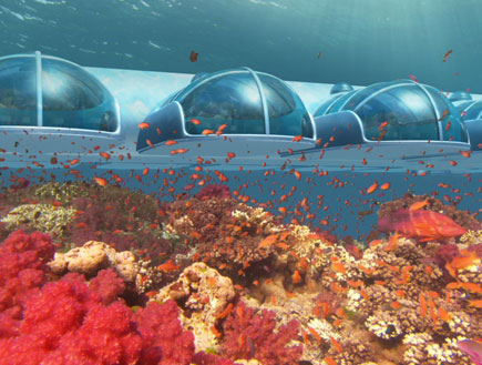אתר נופש בפיג'י מתחת למים (צילום: mako)