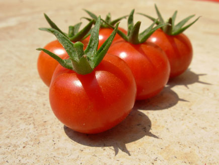 עגבניות קטנות (צילום: stock_xchng)