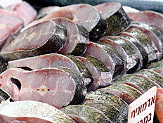 דגי אדמונית בשוק (צילום: עודד קרני)