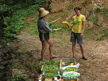 חקלאים וארגזי ירקות (צילום: flickr)