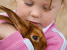 טיולי משפחות: ילדה בורוד מחבקת ארנב חום (צילום: jupiter images)