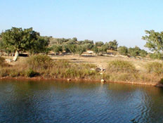 אגם בשמורת הטבע המקראית נאות קדומים (צילום: איל שפירא)