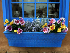 חלון כחול עם אדנית פיקטים כחולה מלאה פרחים (צילום: lillisphotography, Istock)