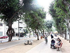 טיולים בתל אביב: שדרות רוטשילד (צילום: עודד קרני)