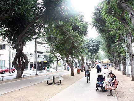 טיולים בתל אביב: שדרות רוטשילד (צילום: עודד קרני)