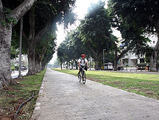 רוכב אופניים בשדרות רוטשילד בתל אביב (צילום: עודד קרני)