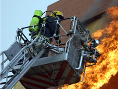 מכבי אש מנסים להשתלט על שריפה (צילום: עודד קרני)
