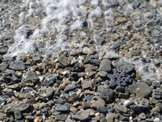 אטרקציות: אבנים על המים בבית ינאי (צילום: איל שפירא)