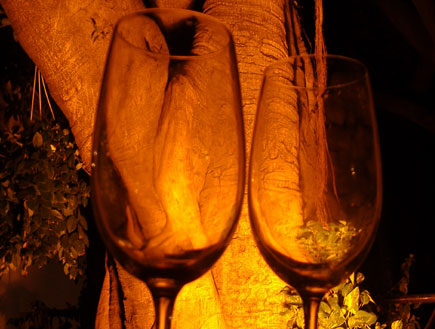 שתי כוסות יין בחושך על רקע עץ (צילום: אור גץ)