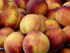 אפרסקים בשוק2 (צילום: עודד קרני)
