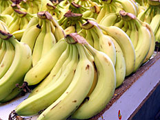 בננות בשוק (צילום: עודד קרני)