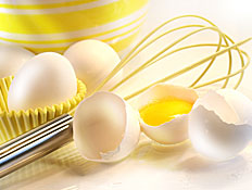 ביצים ומטרפה (צילום: ShutterStock)