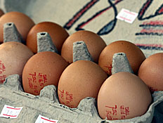 חבילה של תריסר ביצים (צילום: עודד קרני)