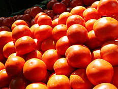 עגבניות בשוק (צילום: עודד קרני)