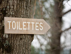 שלט שירותים על עץ (צילום: iStock)