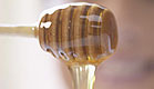 דבש- קלואז אפ כלי עם דבש (צילום: אור גץ)