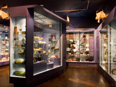 ויטרינות עמוסות תיקים במוזיאון התיקים באמסטרדם
