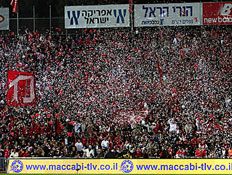 קונפטי בשער 7 (צילום: עודד קרני) קונפטי בשער 7 (צילום: עודד קרני)