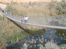 טיול אופניים בנגב המערבי: נחל הבשור (צילום: תומר נויהאוזר)