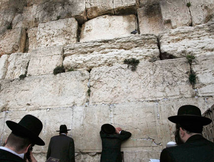 חרדים מתפללים בכותל המערבי בירושלים (צילום: רויטרס)
