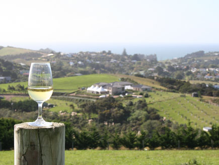 כוס יין על עמוד עץ הצופה לנוף (צילום: SXC)