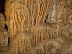 אטרקציות: במערת הנטיפים בנחל שורק