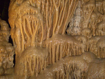 אטרקציות: במערת הנטיפים בנחל שורק