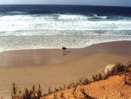 בחור עם גלשן על קו המים בחוף בית ינאי (צילום: אור גץ)