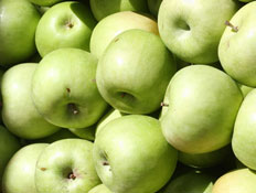 תפוחי גרני סמית' ירוקים (צילום: עודד קרני)