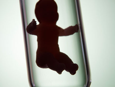 תינוק במבחנה (צילום: jupiter images)