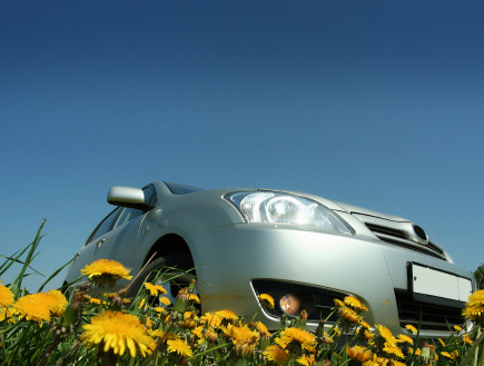מכונית בתוך שדה פרחים (צילום: istockphoto)