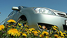 מכונית בתוך שדה פרחים (צילום: istockphoto)