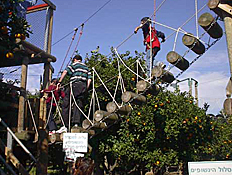טיולי משפחות: ילדים על גשר בולי עץ בשביל התפוזים