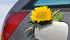 פרח על מכסה טנק הדלק (צילום: istockphoto)