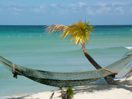 ערסל על החוף בג'מייקה (צילום: עדי רם)