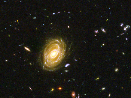 תמונה של הגלקסיות המרחוקות ביותר שנראו אי פעם מטלסקופי החלל האבל ו (צילום: רויטרס)