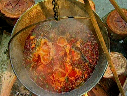 מרק דגים סרבי של אביבה (תמונת AVI: גיל חובב מגיש:המנה של המדינה)
