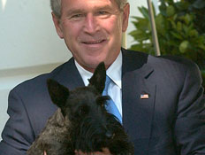ג'ורג' בוש ומיס ביזלי (צילום: Sachs Ron, GettyImages IL)