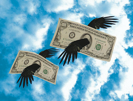 דולרים מעופפים (צילום: Getty Images/Stockbyte Silver, GettyImages IL)