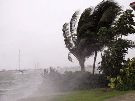הוריקן פלומה (צילום: רויטרס)