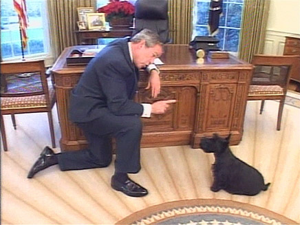 בוש והכלב "באדי", ארכיון (צילום: חדשות)