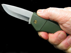 סכין  (צילום: Roberto Romanin, Shutterstock)